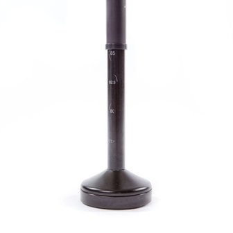 Wandelstok Swing