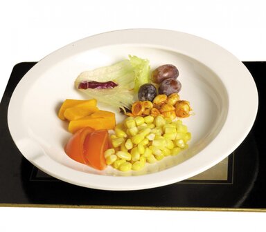 Onbreekbaar groot bord