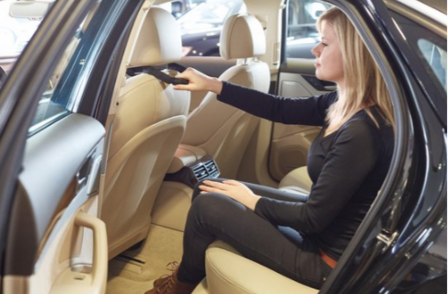 Vitility Hoofdsteungreep auto