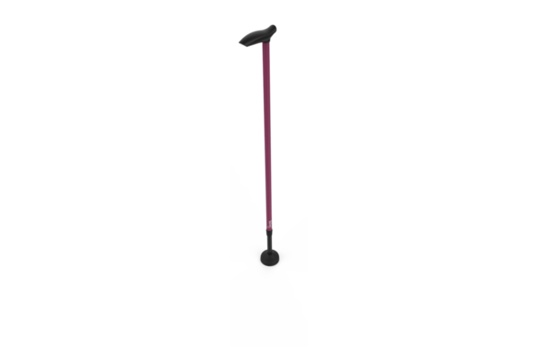 Wandelstok Swing
